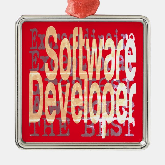Software Developer Extraordinaire Julgransprydnad Metall (Framsidan)