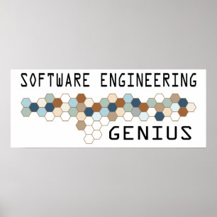 Software som iscensätter snille poster
