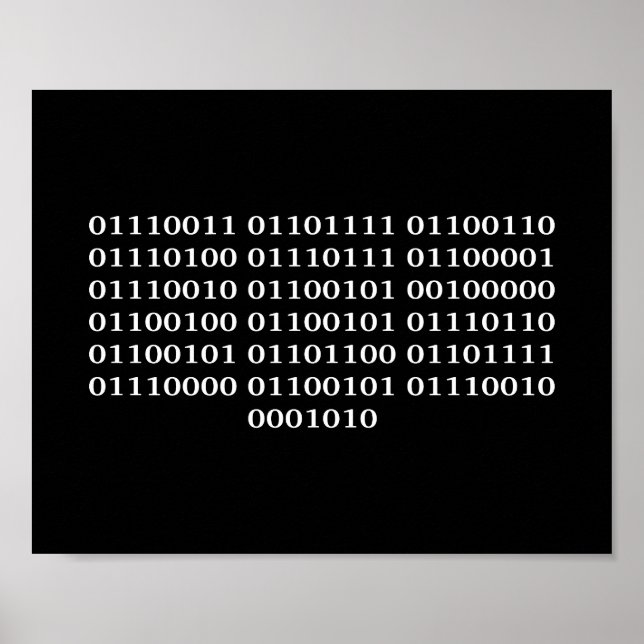 Software-utvecklare Poster (Framsidan)