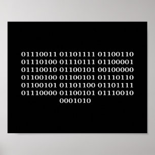 Softwarebärare Poster