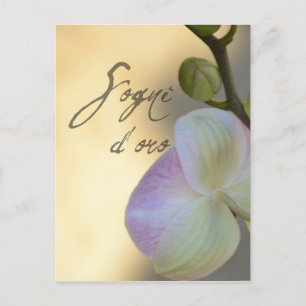 Sogni D'oro (söta drömmar) Orchid Vykort