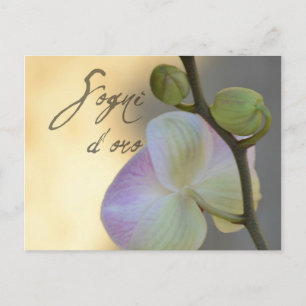 Sogni D'oro (söta drömmar) Orchid Vykort