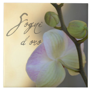 Sogni D'oro (sötsakdrömmar) Orchid Kakelplatta