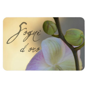 Sogni D'oro (sötsakdrömmar) Orchid Magnet
