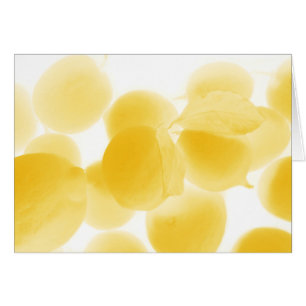 sogno di limone hälsningskort
