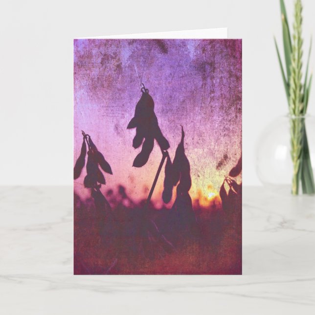 Sojaböna Sunset Grunge Kort (Framsida)