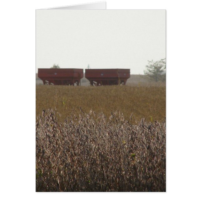 Sojabönskördetid Hälsningskort (Framsidan)