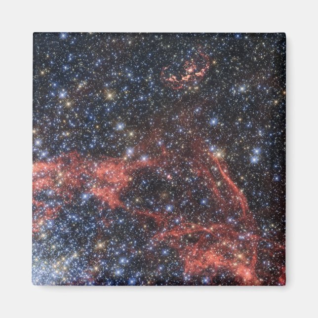 Sök efter stellar Survivor of Supernova Explosion Magnet (Framsidan)