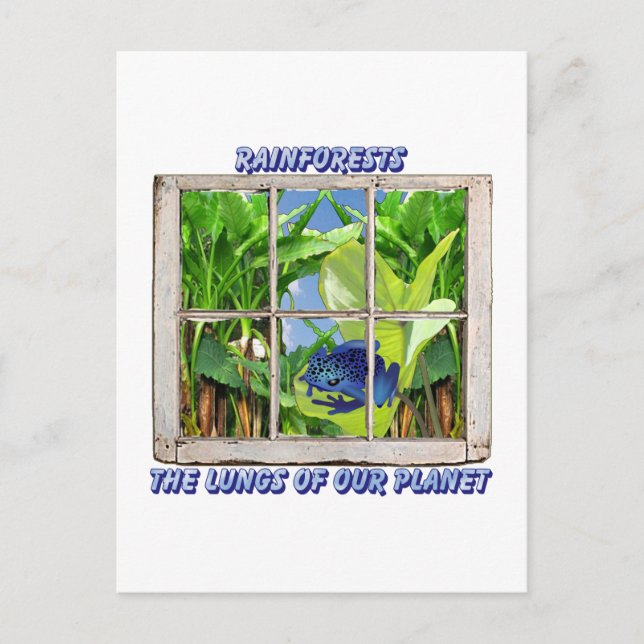 Sök igenom valfritt fönster vykort (Framsida)