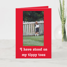 Söka efter Basset på Cute Valentine Day Card Helgkort