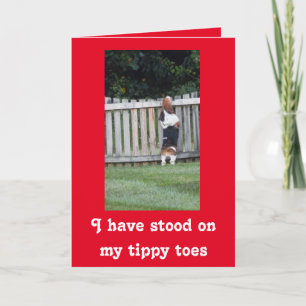Söka efter Basset på Cute Valentine Day Card  Helgkort