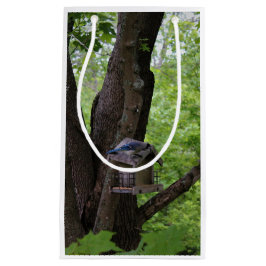 Söka efter en bita för att äta