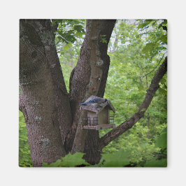 Söka efter en bita för att äta magnet