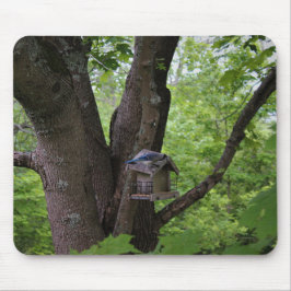 Söka efter en bita för att äta musmatta