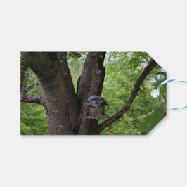 Söka efter en bita för att äta presentetikett