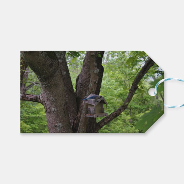 Söka efter en bita för att äta presentetikett (Framsidan (Horisontell))