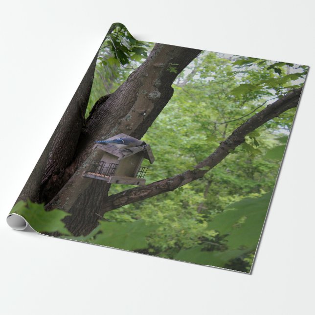 Söka efter en bita för att äta presentpapper (Utrullad)