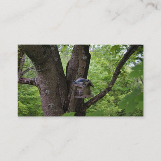 Söka efter en bita för att äta visitkort (Framsida)