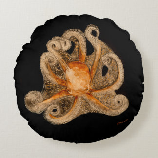 Söka efter en krampolyesterrunda kudde (16")