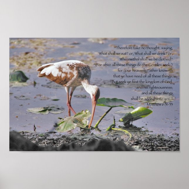 Söka först Guds kungadöme. Poster (Framsidan)