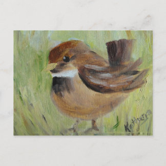 Söka gräset vykort