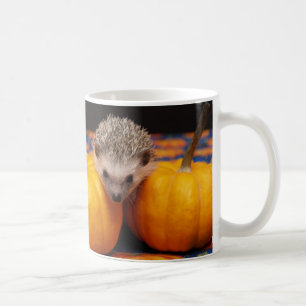 Sökande av den underbara pumpan kaffemugg