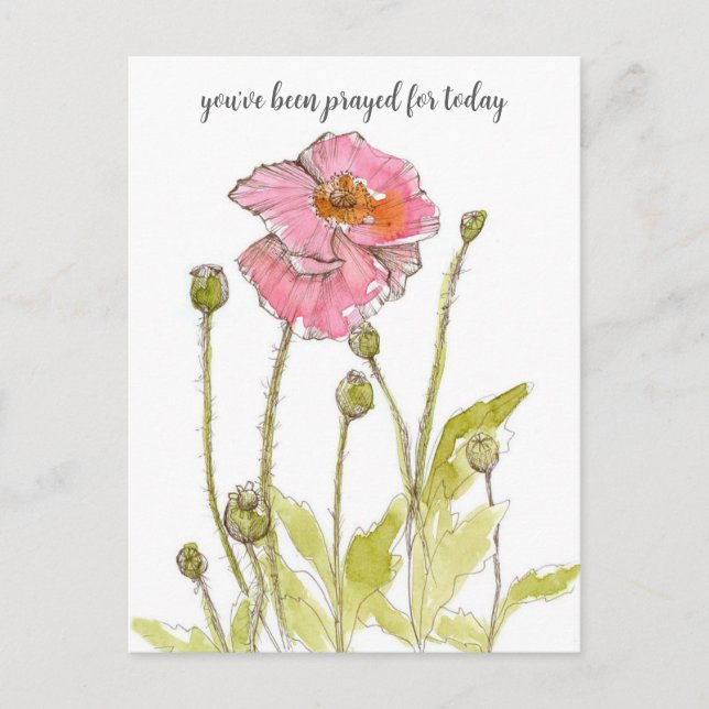 Sökande efter din Religiösa Rosa Poppies Flowers Vykort (Framsida)