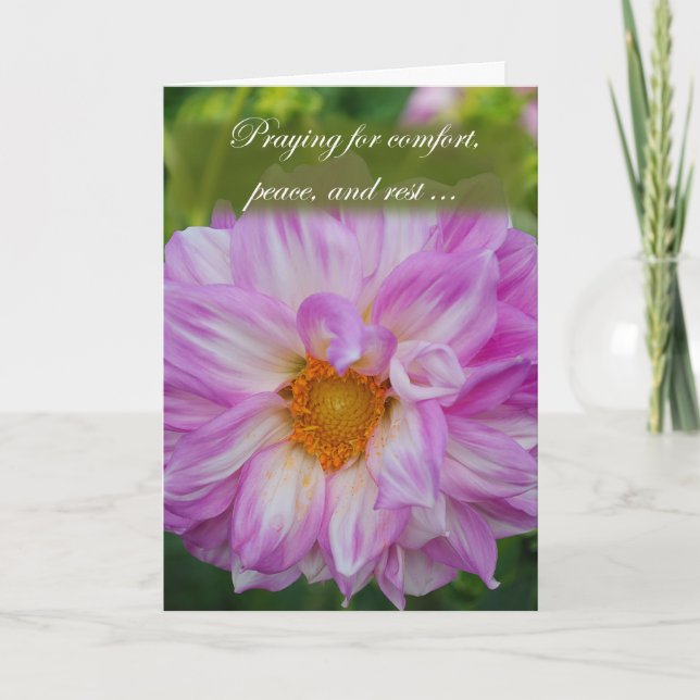 Sökande efter komfort kort (Framsida)