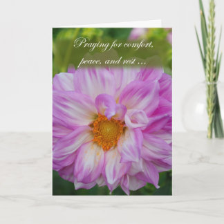 Sökande efter komfort kort