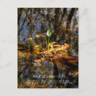 Sökanden att förstå, att inte vara förstådd vykort