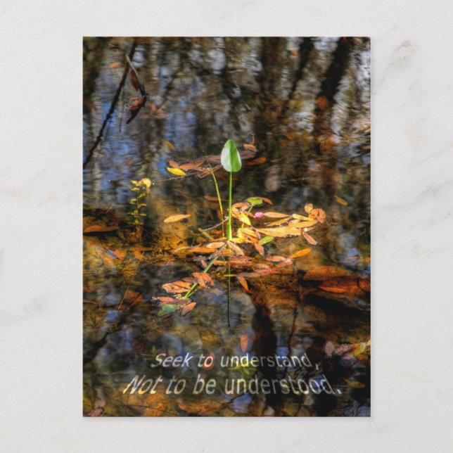 Sökanden att förstå, att inte vara förstådd vykort (Framsida)
