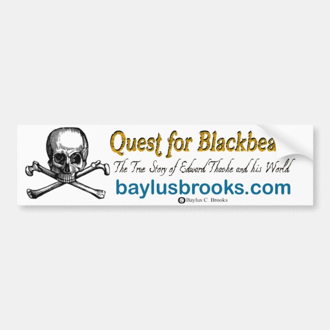 Sökanden för Blackbeard skallebildekal Bildekal (Framsidan)