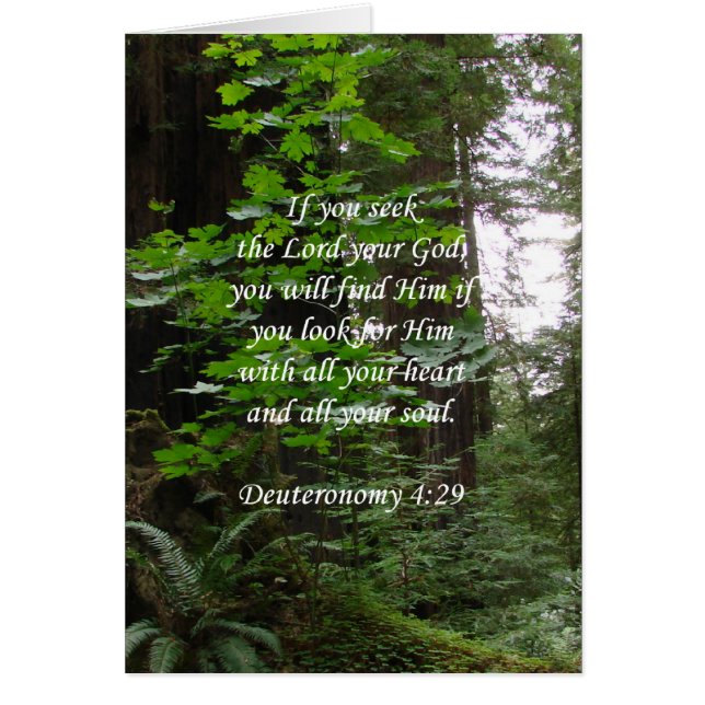 Sökanden för Deuteronomy 4:29~ lorden Hälsningskort (Framsidan)