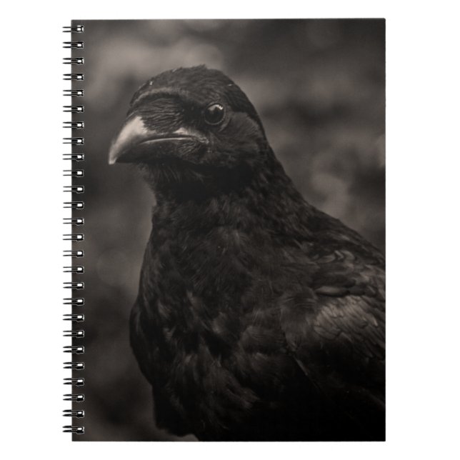 Sökaren Anteckningsbok Med Spiral (Framsidan)