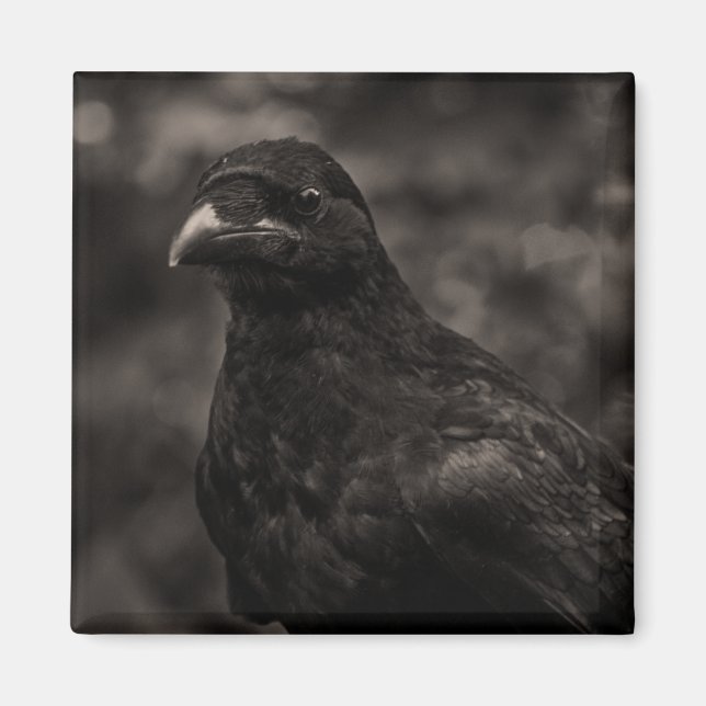 Sökaren Magnet (Framsidan)