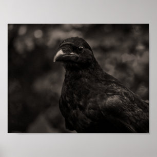 Sökaren Poster
