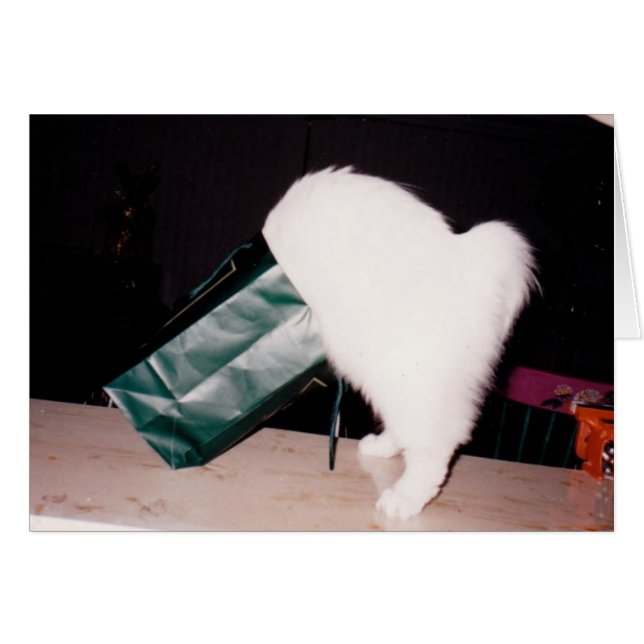 Söker Hälsningskort (Framsidan Horizontal)