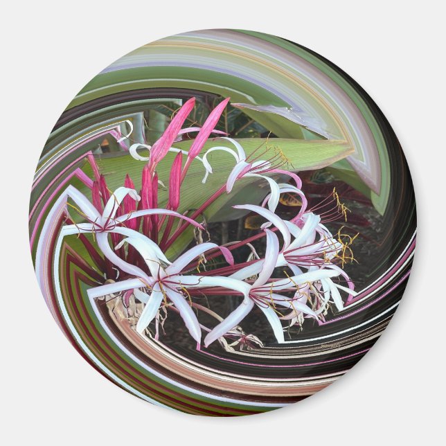 Söker.... Magnet (Framsidan)