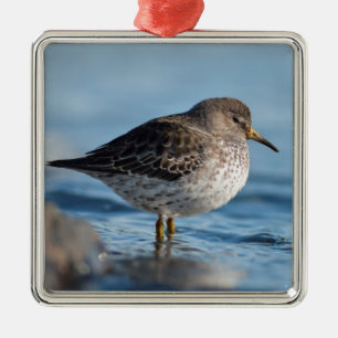 Sökning efter Sten Sandpiper Julgransprydnad Metall