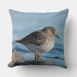 Sökning efter Sten Sandpiper Kudde