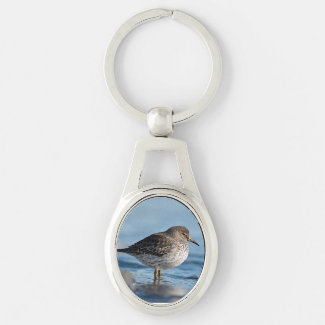 Sökning efter Sten Sandpiper Ovalt Silverfärgad Nyckelring (Framsidan)