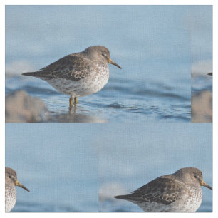 Sökning efter Sten Sandpiper Tyg