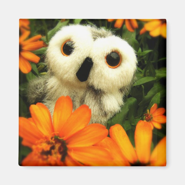 Sökningen efter Älvor fortsätter.. Magnet (Framsidan)