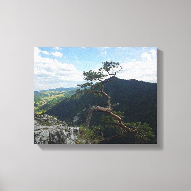 Sokolica, Pieniny Canvastryck (Framsida)