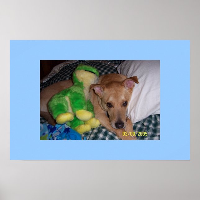 Sokrates Poster (Framsidan)