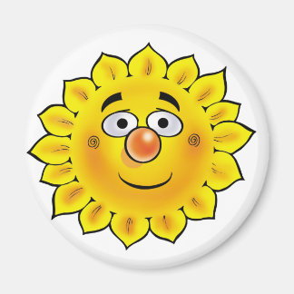 Sol 01 magnet