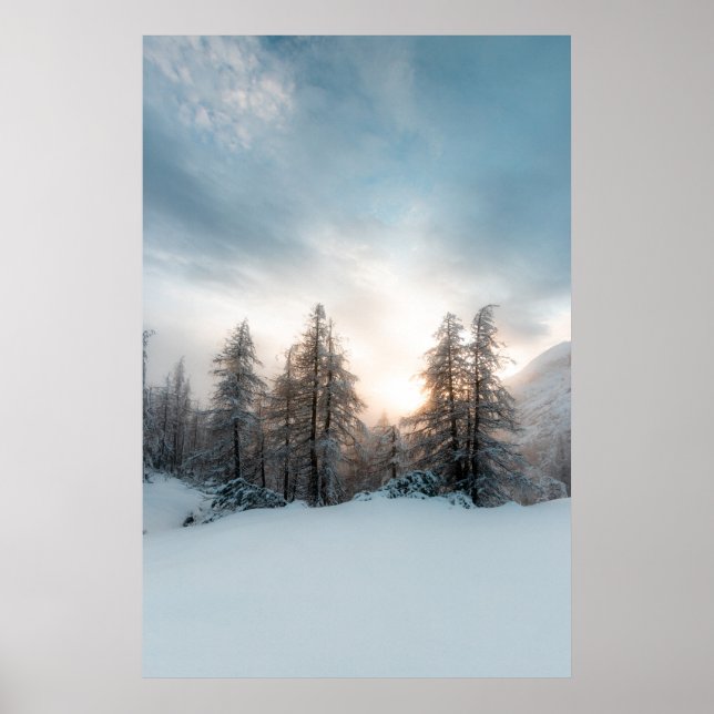 Sol bakom grisen träd poster (Framsidan)