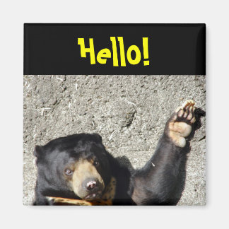 Sol Bear Hej Magnet