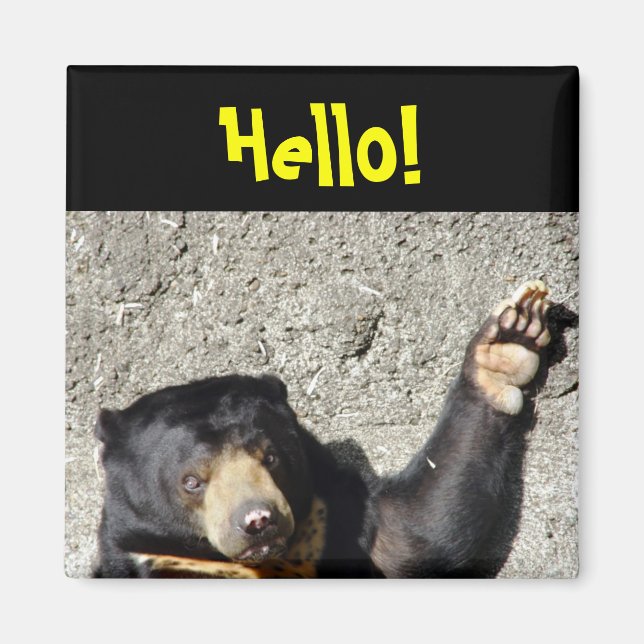 Sol Bear Hej Magnet (Framsidan)