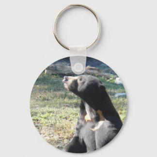 Sol Bear Nyckelring